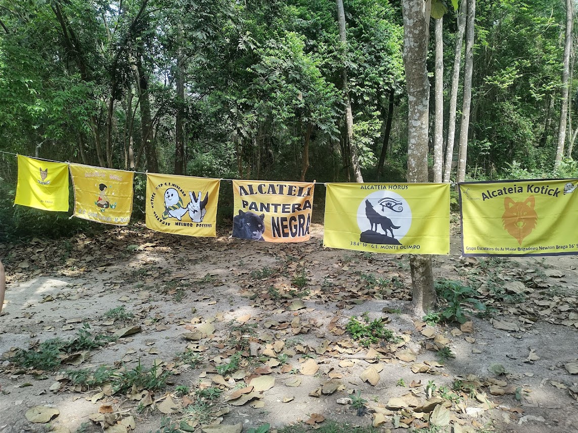 Menino Maluquinho um conto para Lobinhos e Lobinhas.